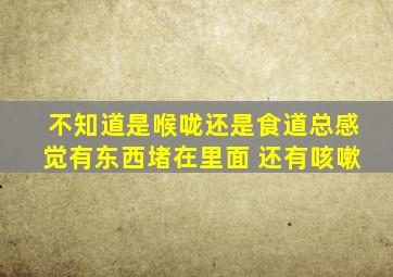 不知道是喉咙还是食道总感觉有东西堵在里面 还有咳嗽